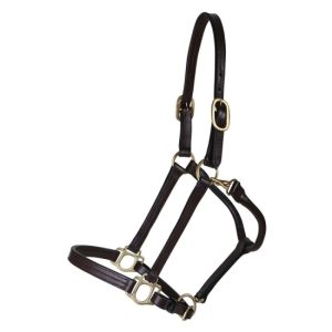 Halters